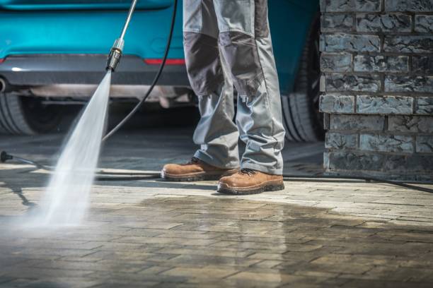 Best Driveway Pressure Washing  in La Blanca, TX
