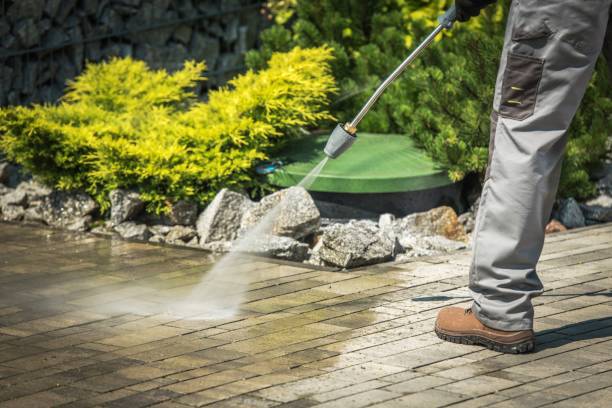 Professional  Pressure Washing Services in La Blanca, TX