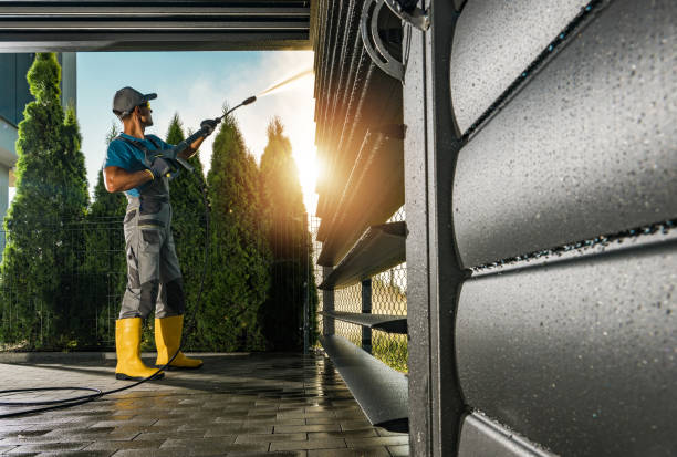 Best Spring Cleaning  in La Blanca, TX