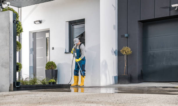  La Blanca, TX Pressure Washing Pros